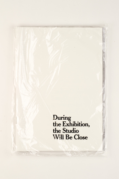 cover of During the Exhibition, the Studio Will Be Close